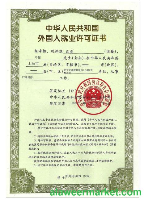 CHINA employment permit (work visa)